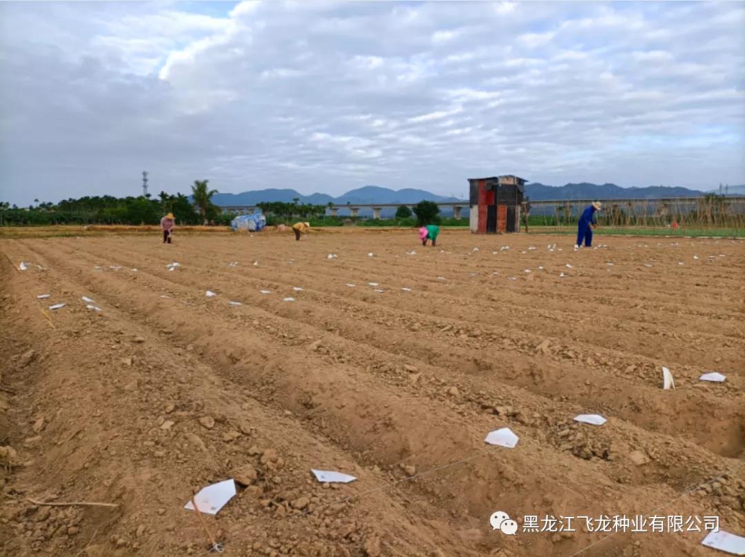 1640653849128807.jpg 8.jpg