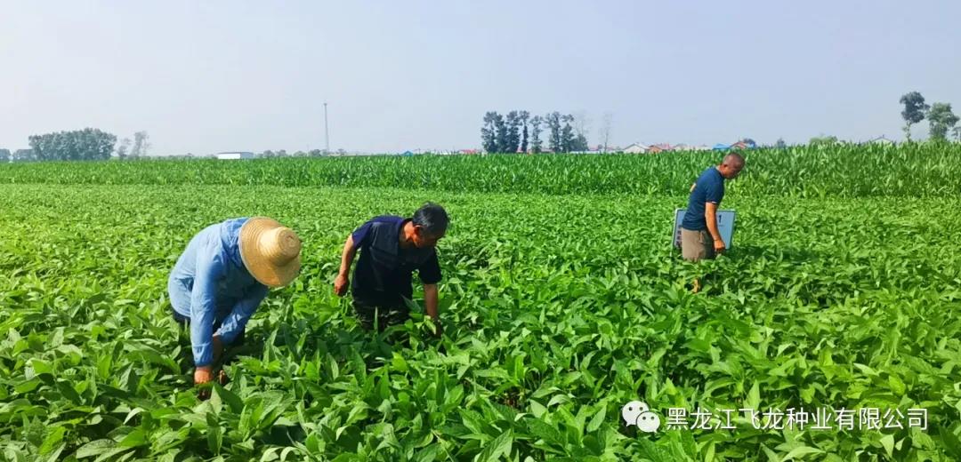 1640660234137013.jpg 11.jpg