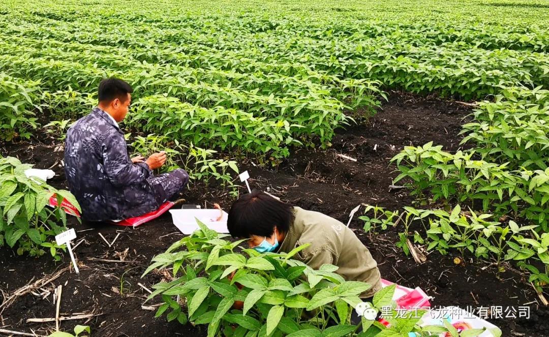 1640660401161240.jpg 3.jpg