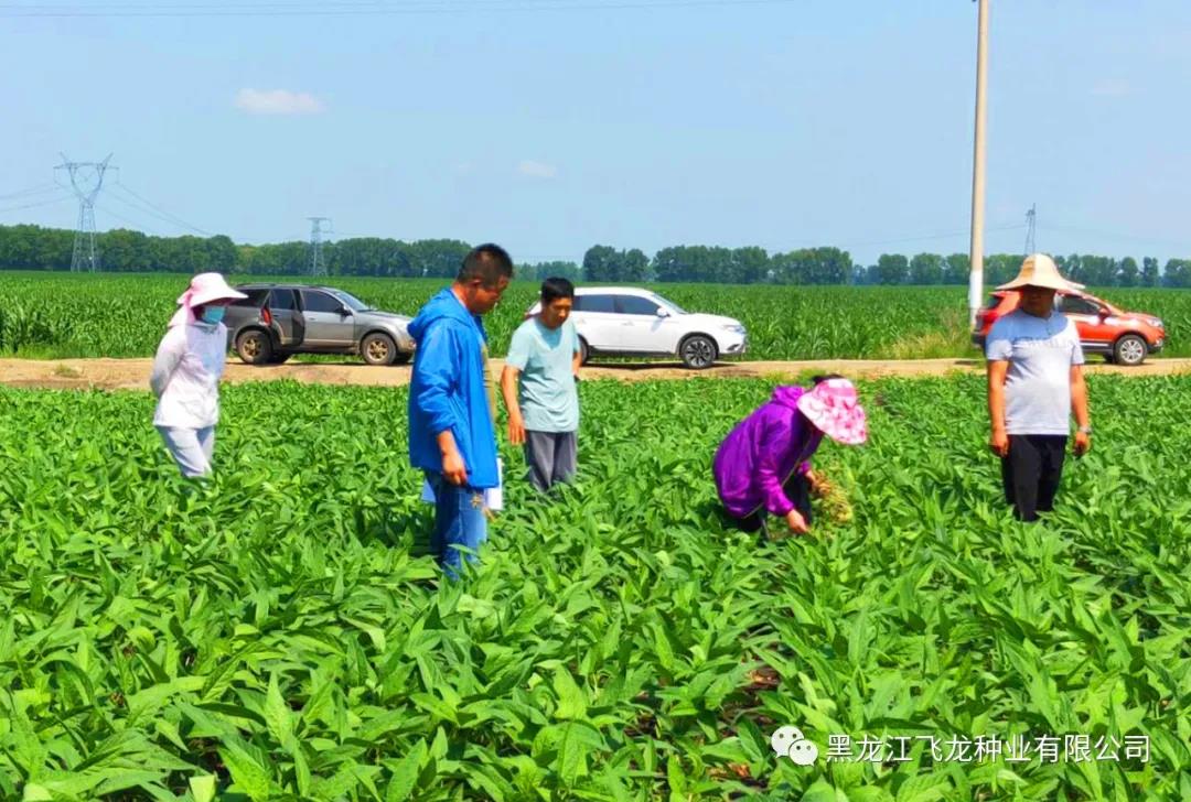 1640661252129138.jpg 9.jpg