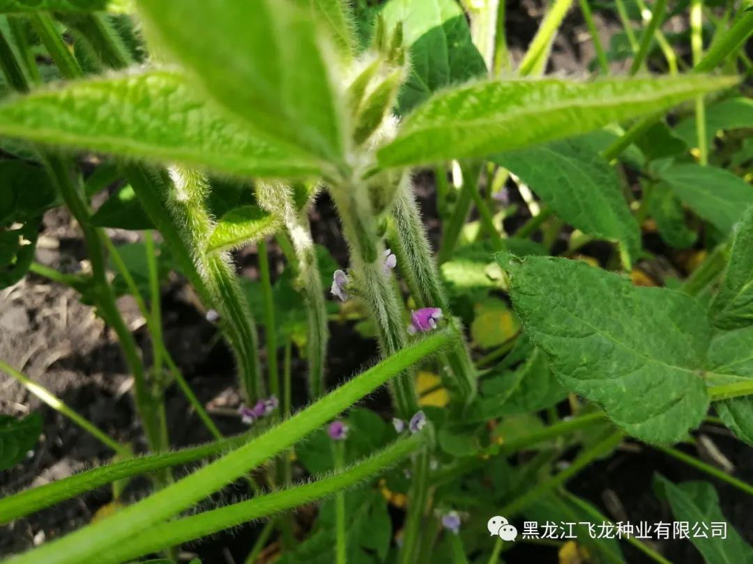 1640661560138420.jpg 12.jpg