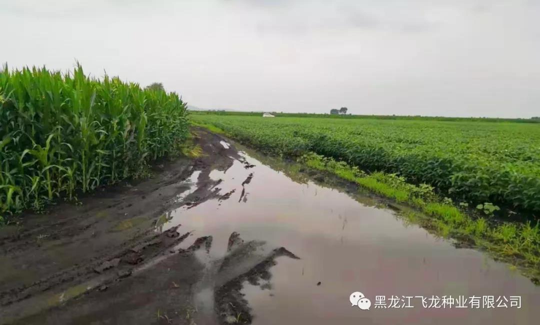 1640738193345803.jpg 4.jpg