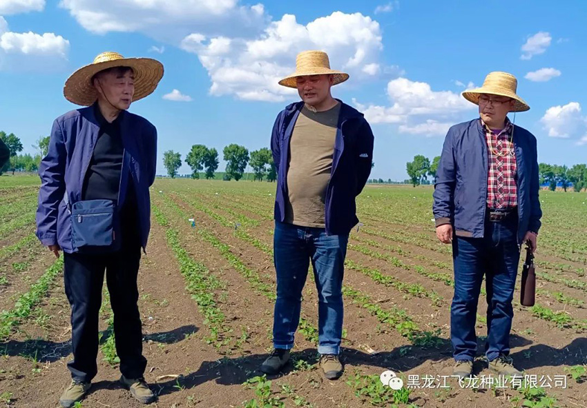 1656469270735327.jpg 4.jpg