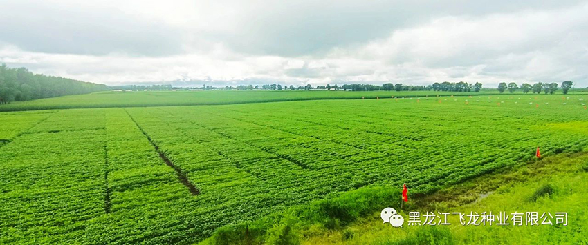 1689726524728011.jpg 2.jpg