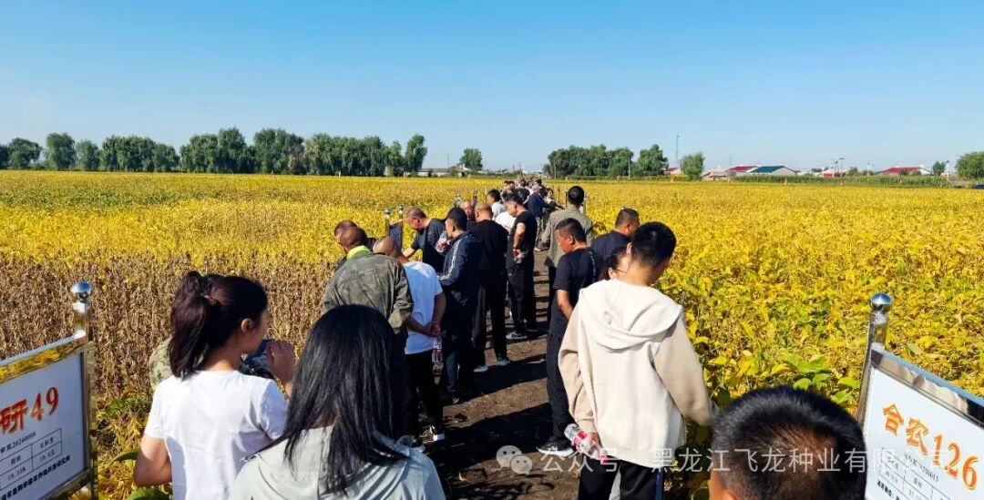 1757747505211501.jpg 1.jpg